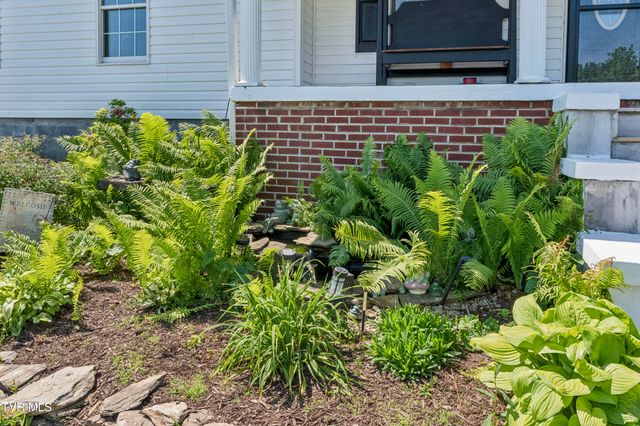 118 Bowers Avenue, Johnson City, TN 37601