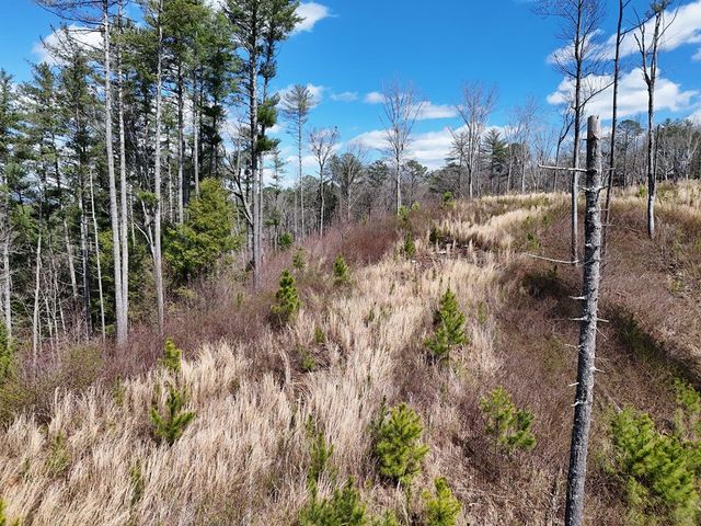 Lot 253 High River Crossing, Ellijay, GA 30540