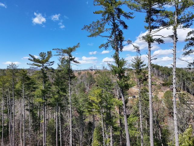 Lot 253 High River Crossing, Ellijay, GA 30540