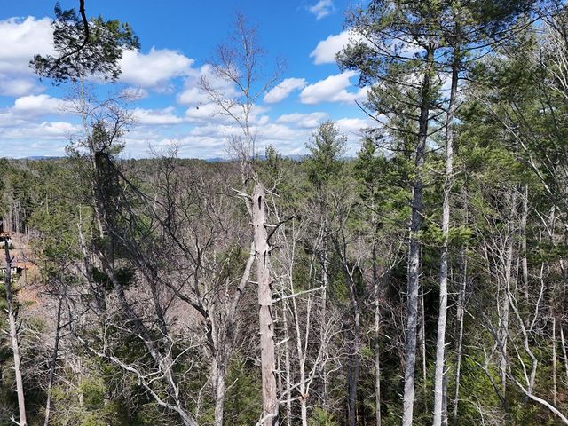 Lot 253 High River Crossing, Ellijay, GA 30540