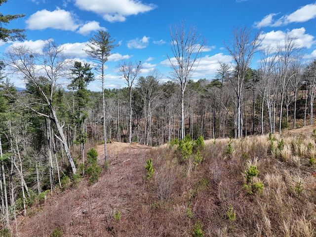 Lot 253 High River Crossing, Ellijay, GA 30540