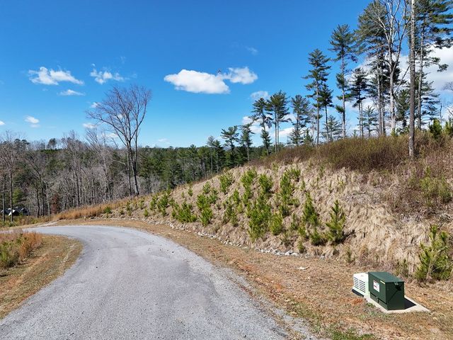 Lot 253 High River Crossing, Ellijay, GA 30540