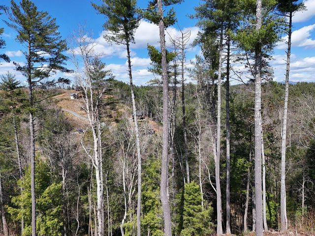 Lot 253 High River Crossing, Ellijay, GA 30540