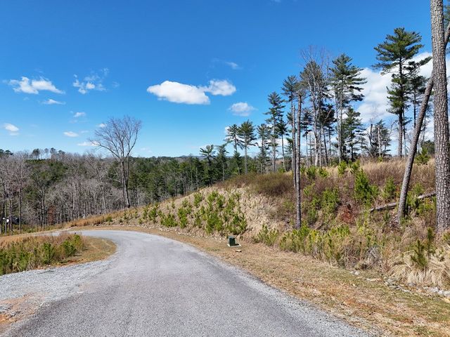 Lot 253 High River Crossing, Ellijay, GA 30540