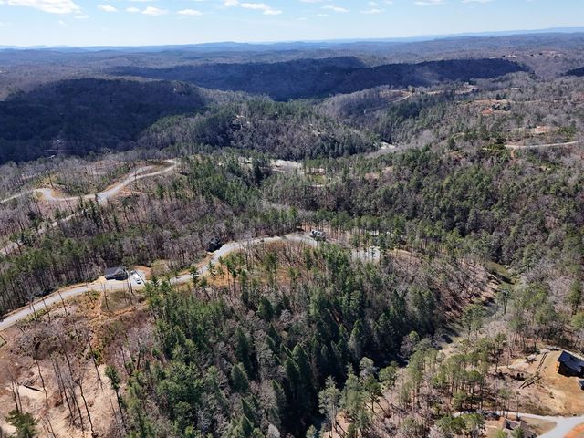 Lot 253 High River Crossing, Ellijay, GA 30540