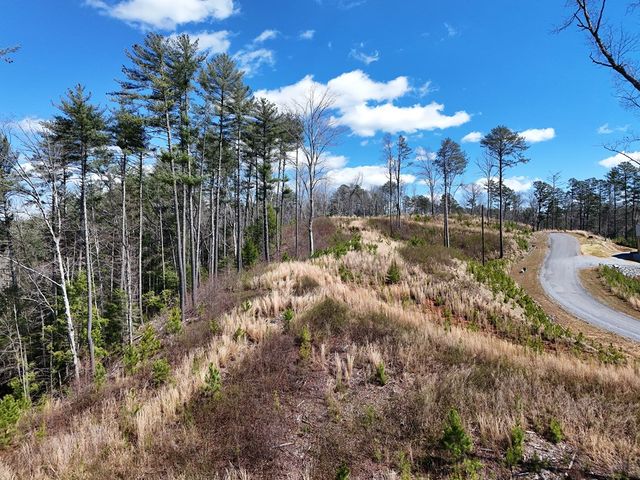 Lot 253 High River Crossing, Ellijay, GA 30540