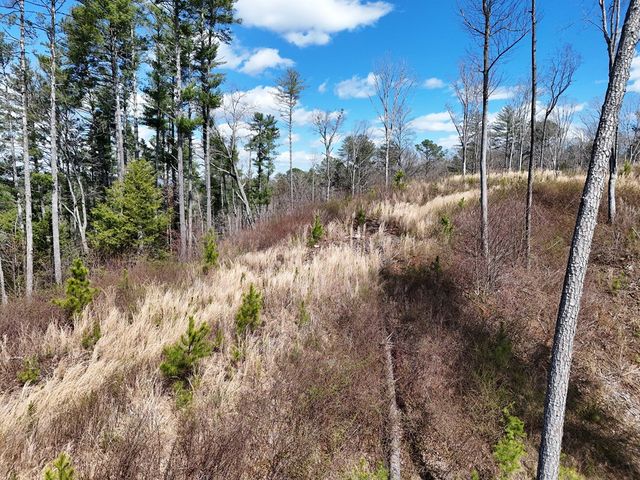 Lot 253 High River Crossing, Ellijay, GA 30540