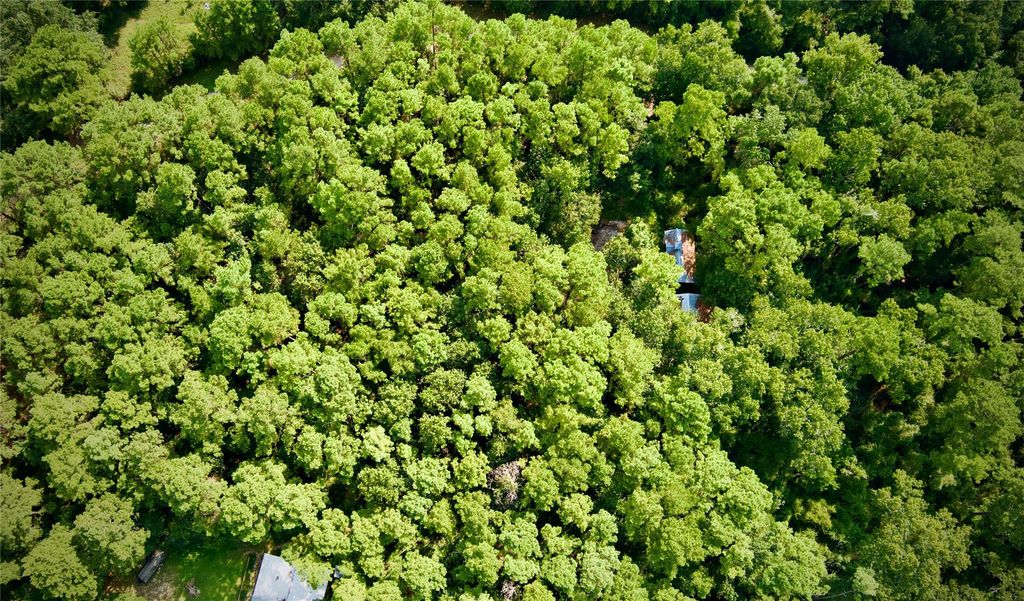 Lot 10 Walnut Grove Drive, Magnolia, TX 77355