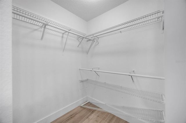 8427 HAWBUCK STREET, Trinity, FL 34655