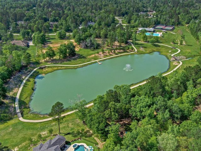 7749 Dog Wood Acres Drive, Montgomery, TX 77316