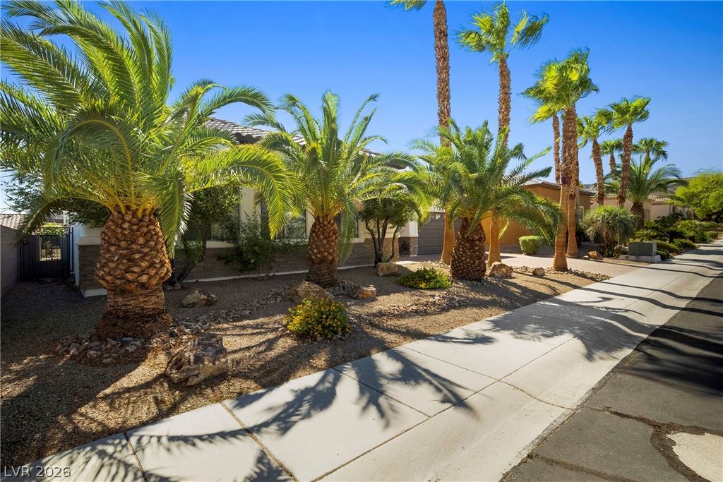 246 Calle Palacio Street, Henderson, NV 89012 — photo 2