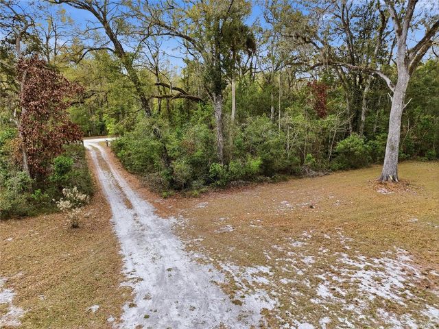 167 NE 212TH AVENUE, Old Town, FL 32680