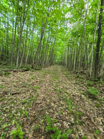 882 Morse Road, Haverhill, NH 03774