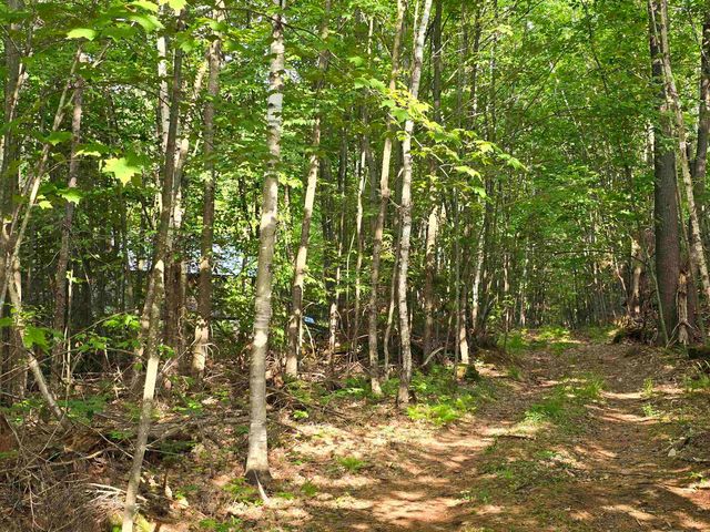 882 Morse Road, Haverhill, NH 03774