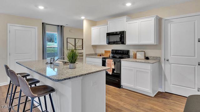 249 Chimney View Loop, Blountville, TN 37617