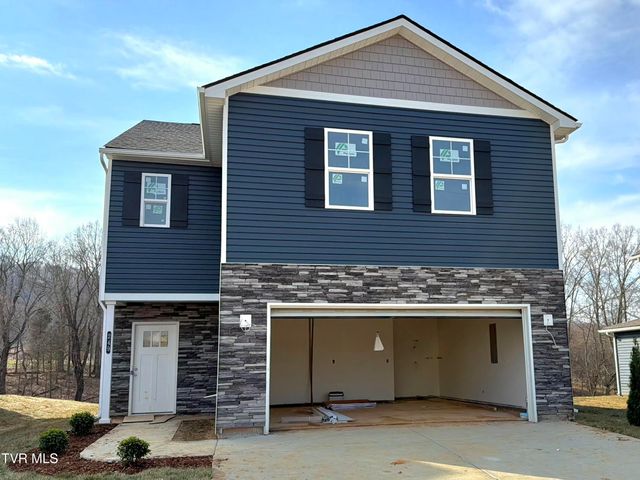 249 Chimney View Loop, Blountville, TN 37617