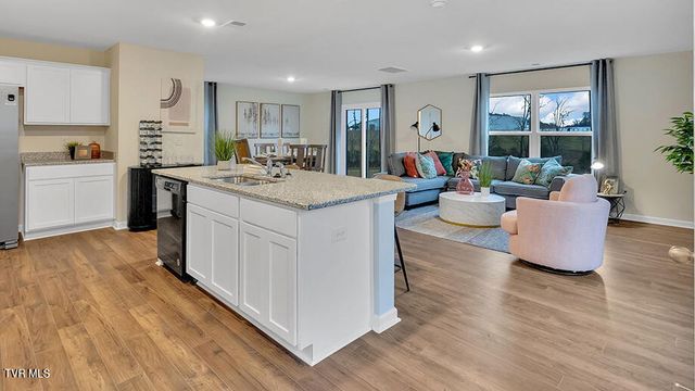 249 Chimney View Loop, Blountville, TN 37617