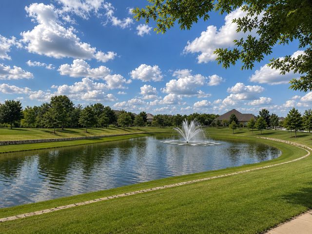 14128 El Toro Road, Frisco, TX 75035