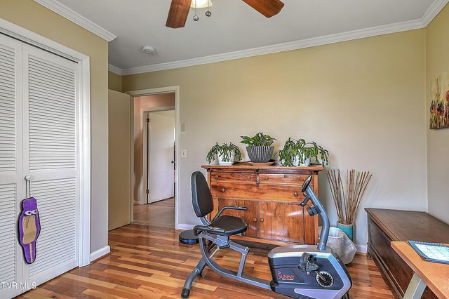 145 Elizabeth Avenue, Gray, TN 37615