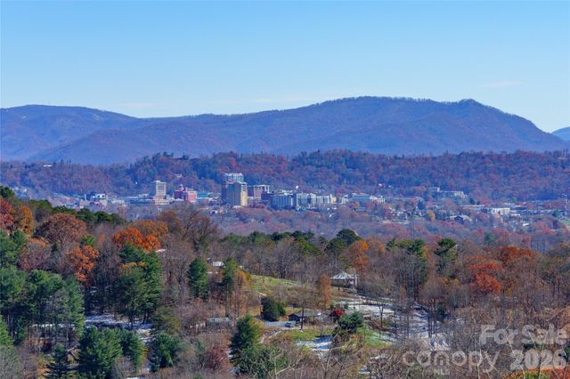 41 Ben Lippen School Road, Asheville, NC 28806