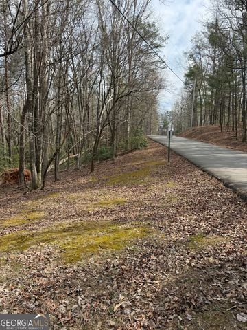 0 Seneca Drive, Ellijay, GA 30540