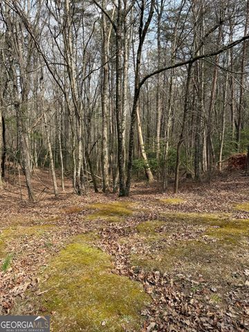 0 Seneca Drive, Ellijay, GA 30540