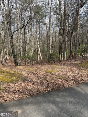 0 Seneca Drive, Ellijay, GA 30540