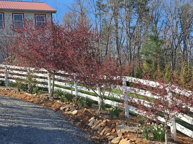 53 Fox Run, Blue Ridge, GA 30513