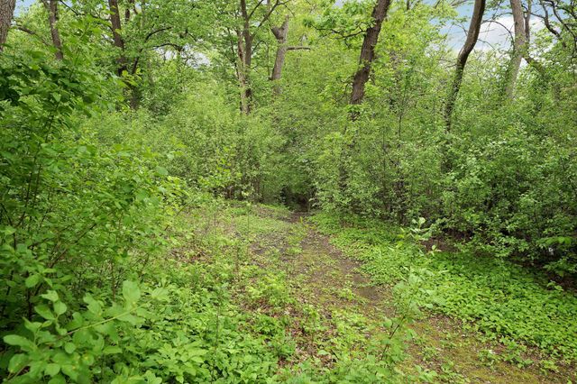 4936 Shady Oak Road S, Minnetonka, MN 55343