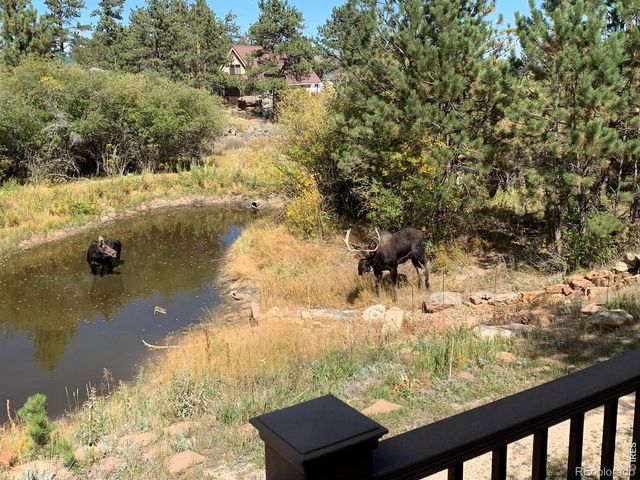 560 Pipsissewa Lane, Red Feather Lakes, CO 80545