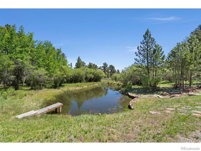 560 Pipsissewa Lane, Red Feather Lakes, CO 80545