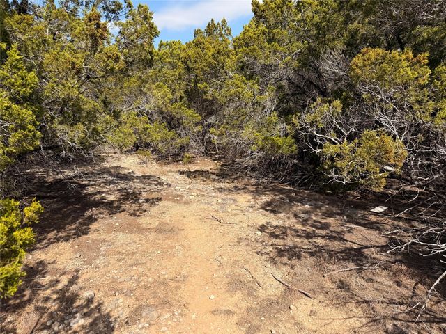 20206 Lee LN, Lago Vista, TX 78645