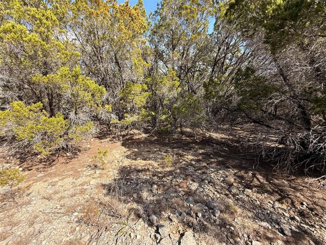 20206 Lee LN, Lago Vista, TX 78645