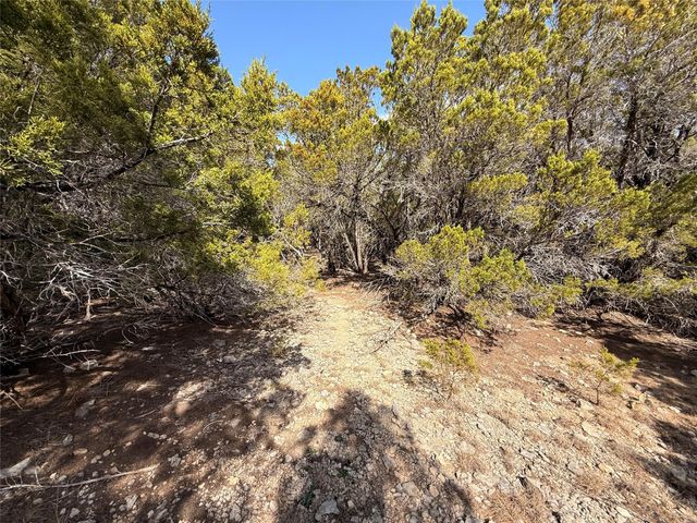 20206 Lee LN, Lago Vista, TX 78645