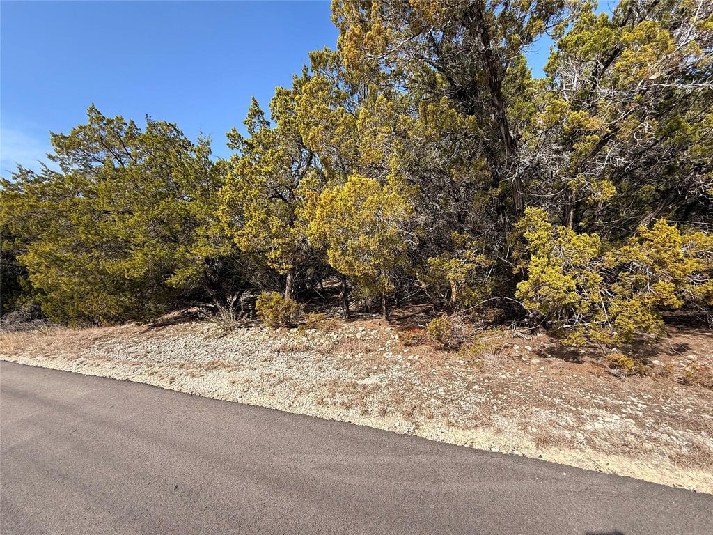 20206 Lee LN, Lago Vista, TX 78645