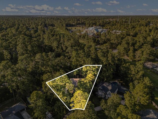 205 Purple Slate Place, The Woodlands, TX 77381