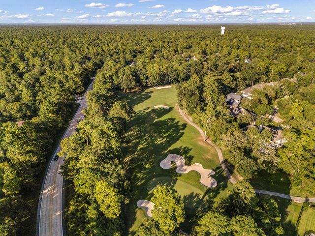 205 Purple Slate Place, The Woodlands, TX 77381