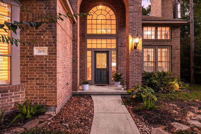 205 Purple Slate Place, The Woodlands, TX 77381