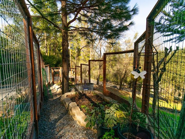 3254 Clark St, Placerville, CA 95667