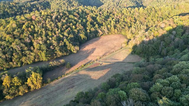 46 Carver Hollow Lane, Pleasant Shade, TN 37145