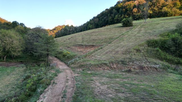 46 Carver Hollow Lane, Pleasant Shade, TN 37145