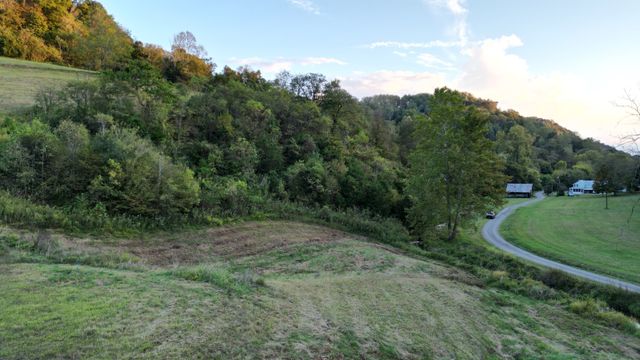 46 Carver Hollow Lane, Pleasant Shade, TN 37145