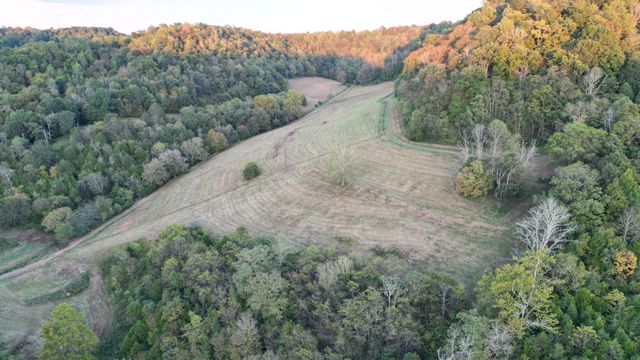 46 Carver Hollow Lane, Pleasant Shade, TN 37145
