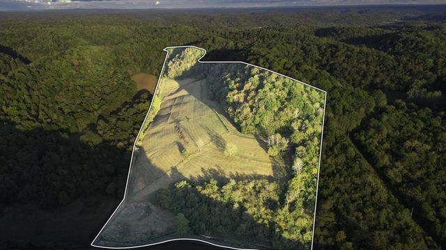 46 Carver Hollow Lane, Pleasant Shade, TN 37145