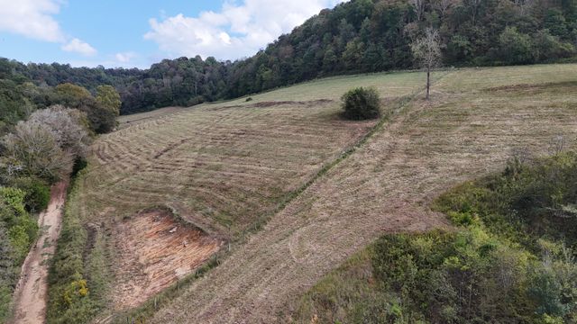 46 Carver Hollow Lane, Pleasant Shade, TN 37145