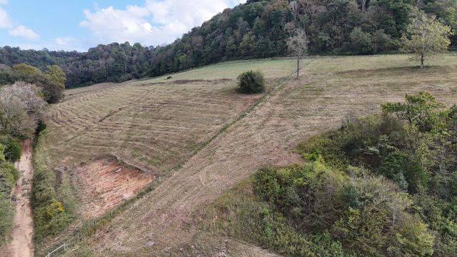 46 Carver Hollow Lane, Pleasant Shade, TN 37145