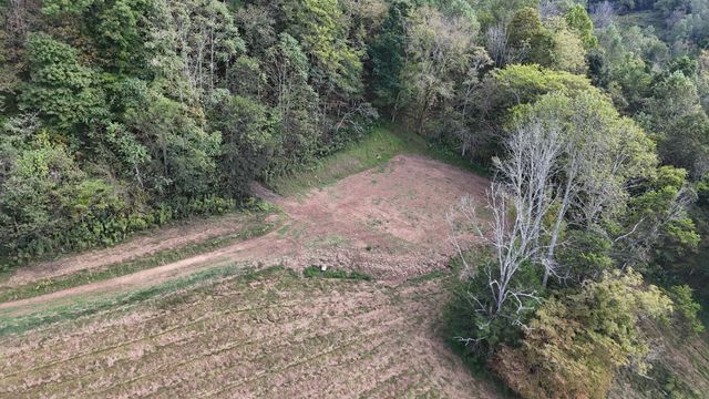 46 Carver Hollow Lane, Pleasant Shade, TN 37145