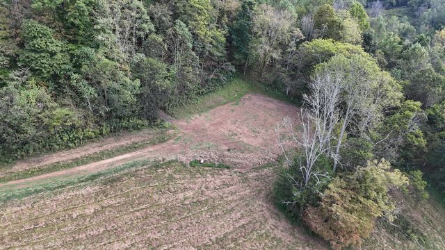 46 Carver Hollow Lane, Pleasant Shade, TN 37145