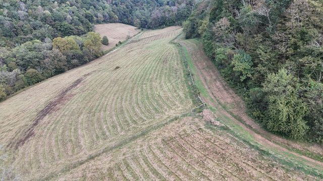 46 Carver Hollow Lane, Pleasant Shade, TN 37145