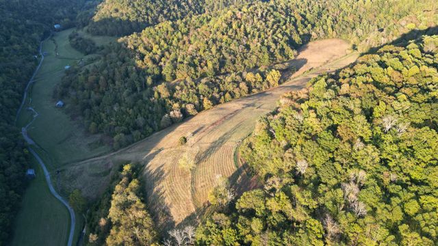 46 Carver Hollow Lane, Pleasant Shade, TN 37145